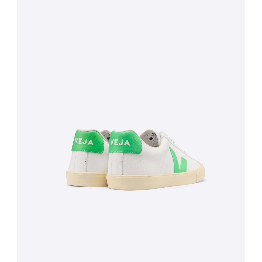 Veja ESPLAR CHROMEFREE BUTTER-SOLE Men's Sneakers White | CA 301BEX